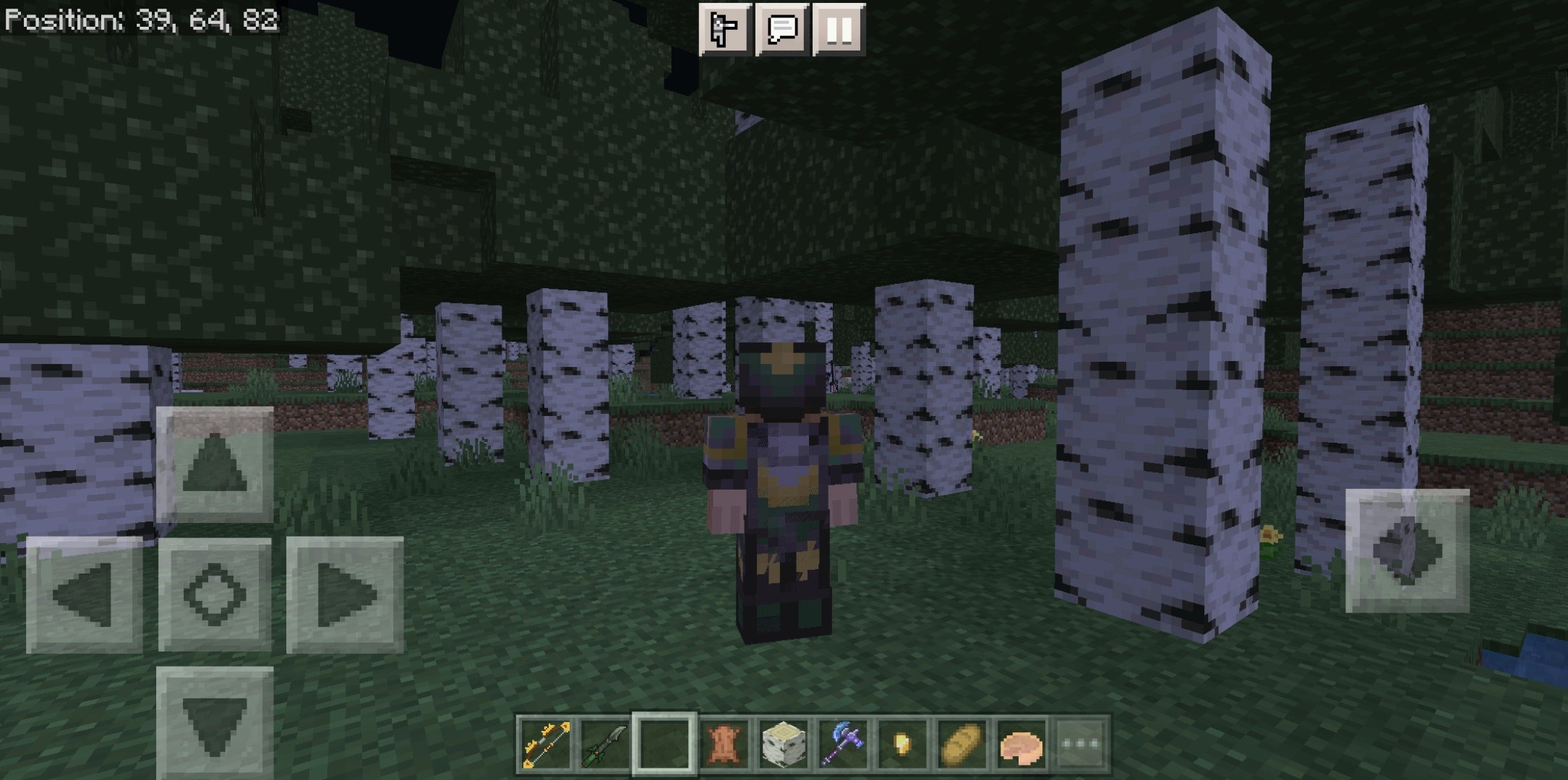 A screenshot of my modded minecraft