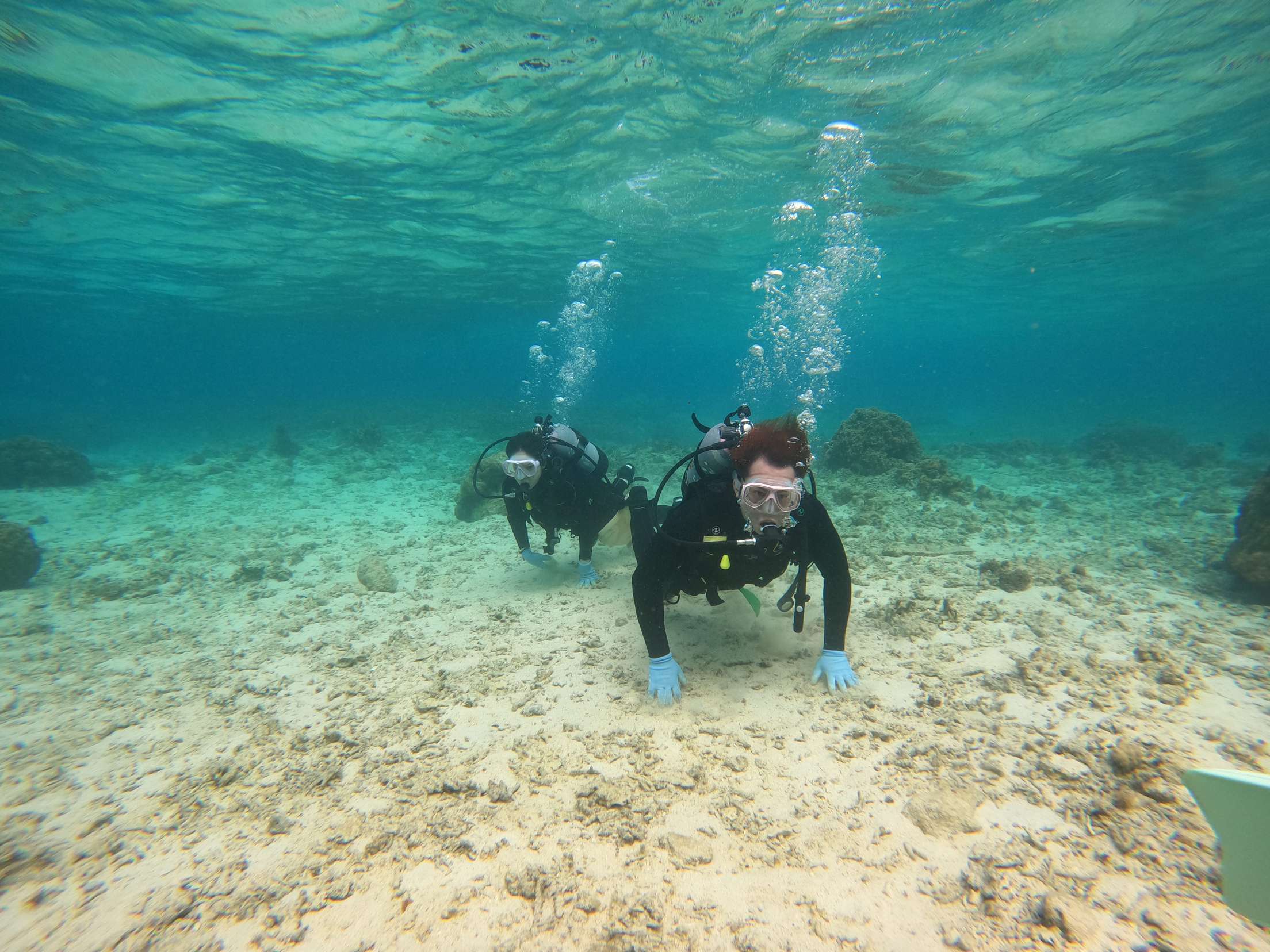 A picture of my bestfriend and I scuba diving